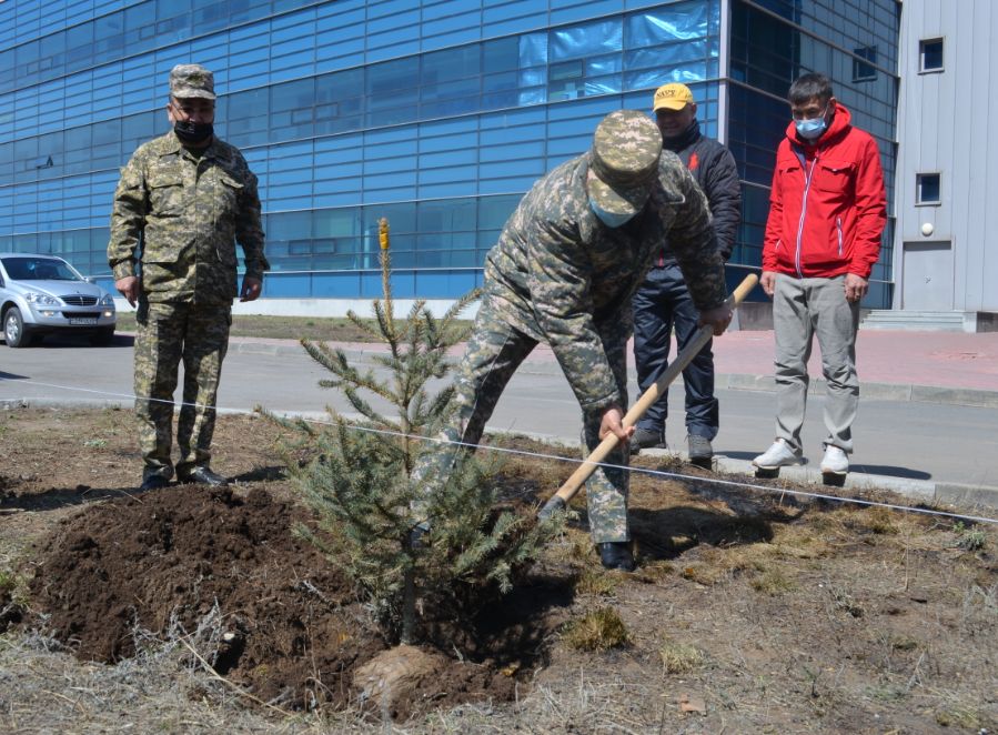 Военнослужащие Национального университета обороны посадили деревья