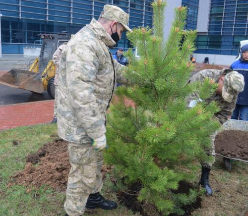 Массовая посадка деревьев прошла в Национальном университете обороны